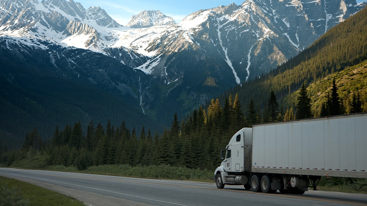 Assistance aux entreprises de transport étrangères